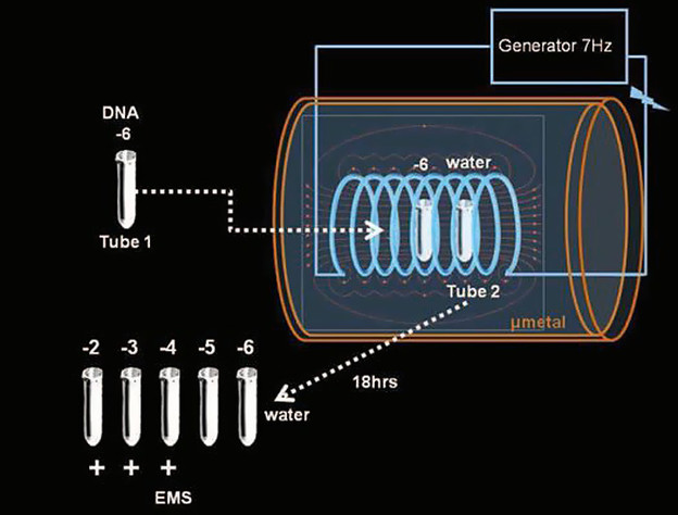 Teleportacija DNA Teleportacija DNA