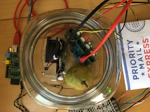 Raspberry Pi nos njuši zrelo voće Raspberry Pi nos njuši zrelo voće
