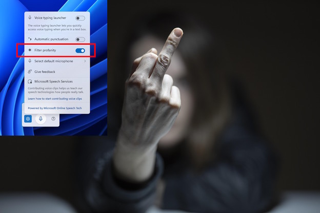 Sada možete psovati vaše Windowse 11 Sada možete psovati vaše Windowse 11