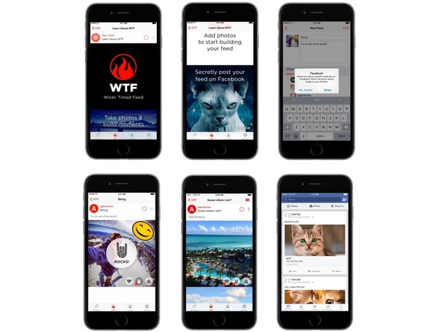 VIDEO: Prikrivanje fotki na Facebooku mačkama VIDEO: Prikrivanje fotki na Facebooku mačkama