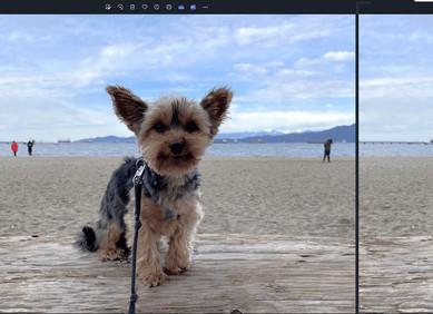 Windows Photos dobiva generativno brisanje