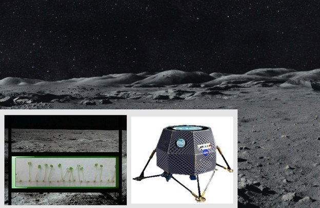 NASA 2015. gradi povrtnjak na Mjesecu NASA 2015. gradi povrtnjak na Mjesecu