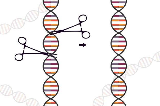 Algoritam otkriva gotovo 188 novih vrsta CRISPR sustava