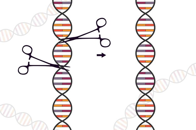 Algoritam otkriva gotovo 188 novih vrsta CRISPR sustava Algoritam otkriva gotovo 188 novih vrsta CRISPR sustava
