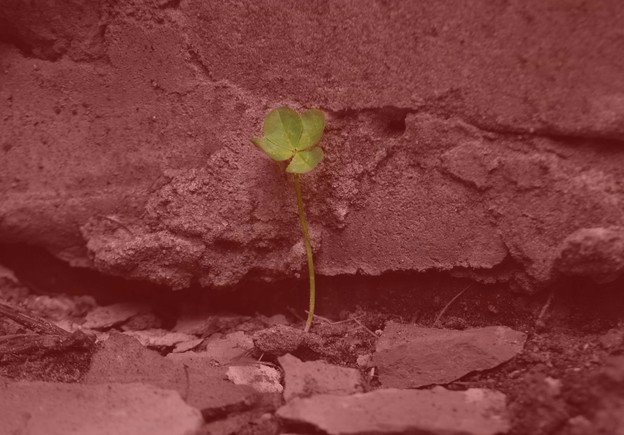 Bakterija koja će omogućiti poljoprivredu na Marsu Bakterija koja će omogućiti poljoprivredu na Marsu