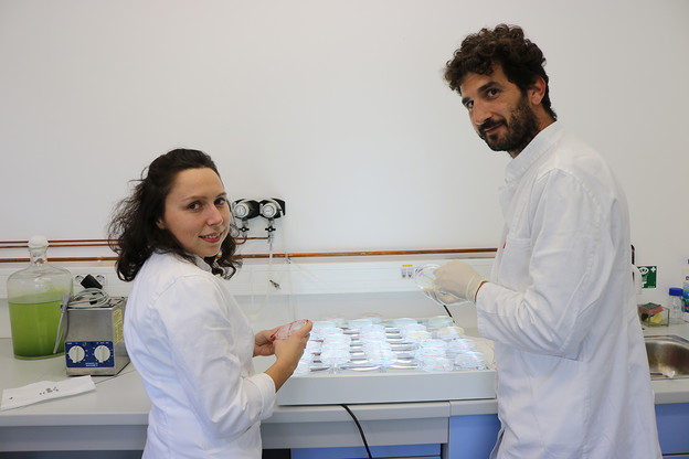 Biomolekule iz Jadrana za inovacije u industriji Biomolekule iz Jadrana za inovacije u industriji