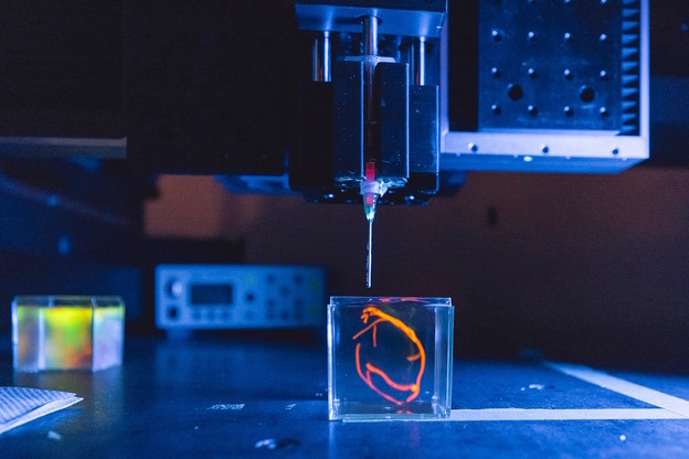 Bioprintana ljudska srca uskoro u živim svinjama Bioprintana ljudska srca uskoro u živim svinjama