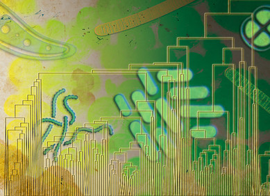 Disanje je započelo stotinama milijuna godina ranije