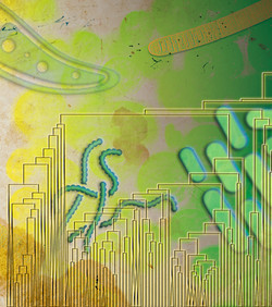 Disanje je započelo stotinama milijuna godina ranije