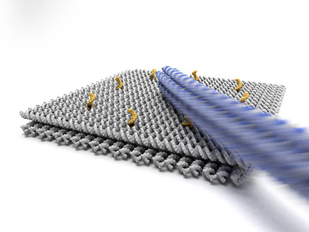 DNK nanoroboti na pogon električnih polja