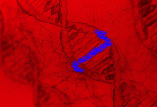 DNK pisaća mašina umjesto nevidljive tinte