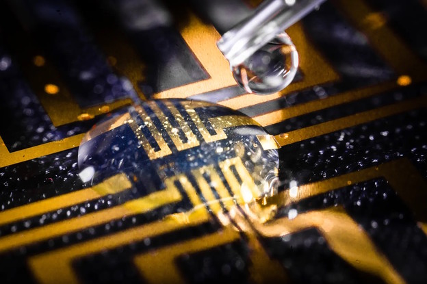 Gel stvara elektrode u živim organizmima Gel stvara elektrode u živim organizmima