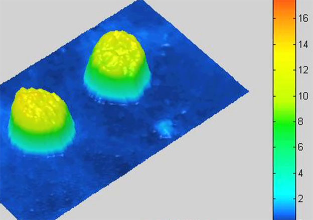 Hologrami otkrivaju funkcioniranje mozga Hologrami otkrivaju funkcioniranje mozga