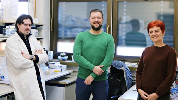 IRB: Novi krvni biljeg za metastatski rak prostate IRB: Novi krvni biljeg za metastatski rak prostate