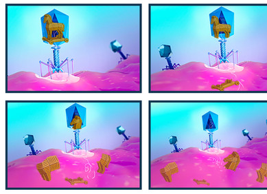 Kako SNIPE izravno štiti bakterije Kako SNIPE izravno štiti bakterije