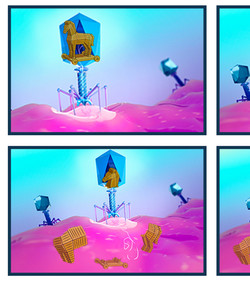 Kako SNIPE izravno štiti bakterije