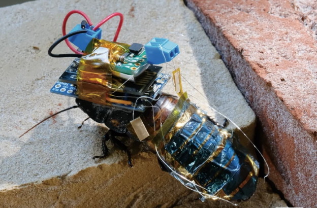 Kiborzi žohari na daljinski imaju solarni pogon