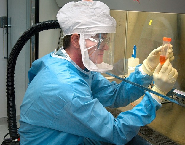 Makromolekula koja može ubijati sve viruse Makromolekula koja može ubijati sve viruse