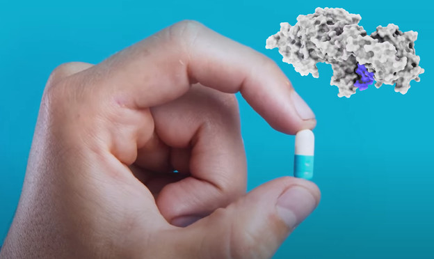 Molekula oponaša inzulin za razvoj tableta protiv dijabetesa Molekula oponaša inzulin za razvoj tableta protiv dijabetesa