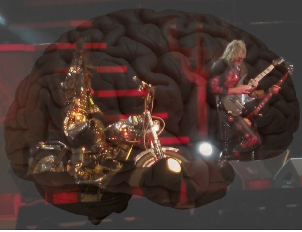 Mozak procesira drugačije vokalnu i instrumentalnu glazbu
