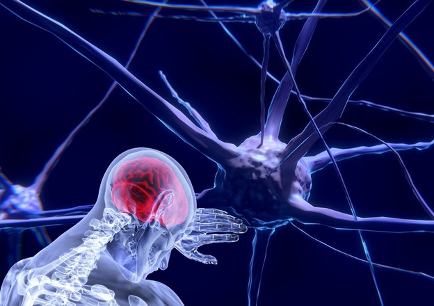 Najveće neuralne mreže su već razvile svijest Najveće neuralne mreže su već razvile svijest