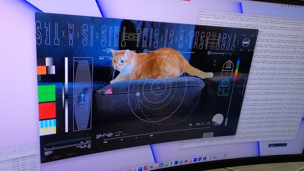 NASA laserom teleportirala video mačke iz dubokog svemira NASA laserom teleportirala video mačke iz dubokog svemira
