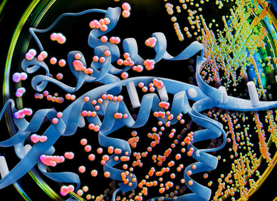 Novi AI model za razvoj proteinskih lijekova