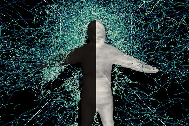 Novi model predviđa kako će komarci letjeti