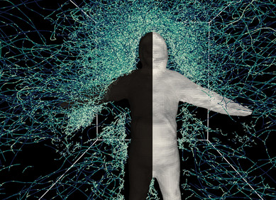 Novi model predviđa kako će komarci letjeti