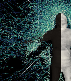 Novi model predviđa kako će komarci letjeti