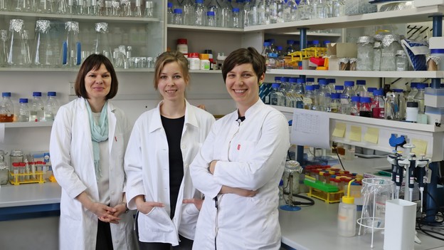 Znanstvenice IRB-a Vedrana Filić, Lucija Mijanović i Maja Marinović, autorice nove studije objavljene u publikaciji PNAS. 