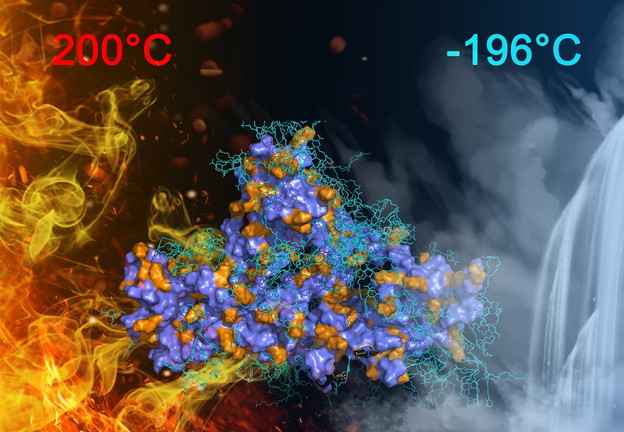 Novo ljepilo za ekstremno niske i visoke temperature Novo ljepilo za ekstremno niske i visoke temperature