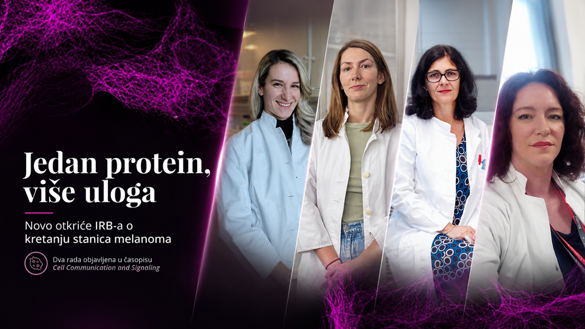 Novo otkriće Ruđerovki o kretanju stanica melanoma