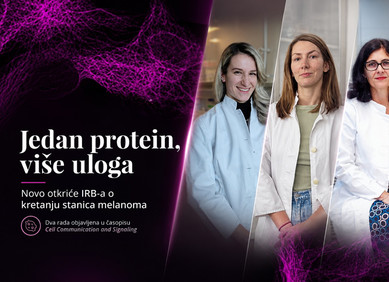 Novo otkriće Ruđerovki o kretanju stanica melanoma