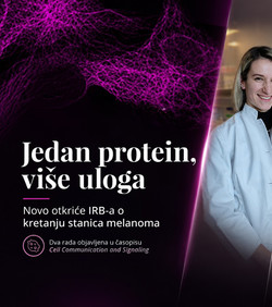 Novo otkriće Ruđerovki o kretanju stanica melanoma