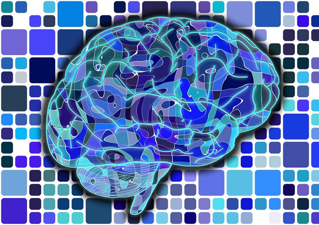 Predviđanje inteligencije fMRI skeniranjem Predviđanje inteligencije fMRI skeniranjem