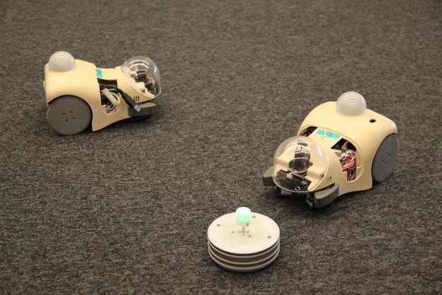 Proučavanje evolucije pomoću miša robota Proučavanje evolucije pomoću miša robota