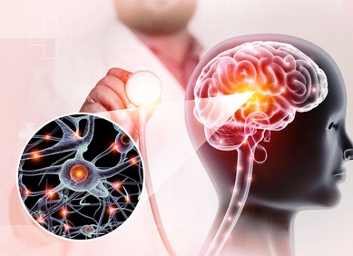 Prvi potpuno sintetički model moždanog tkiva