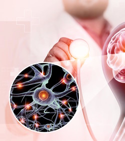 Prvi potpuno sintetički model moždanog tkiva