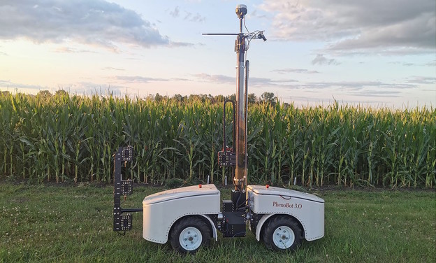 Robot prati fotosintezu kukuruza mjerenjem kutova listova