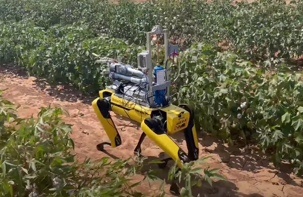 Robot traži i uništava korov bacačem plamena Robot traži i uništava korov bacačem plamena