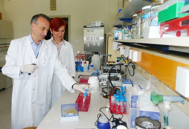 Ruđerovi genetičari otkrili kako organizam preživljava stres Ruđerovi genetičari otkrili kako organizam preživljava stres