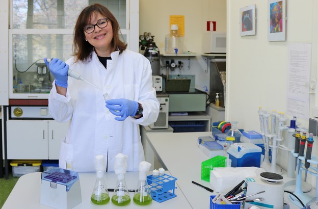 Ruđerovka istražuje alge za spas vodenih sustava Ruđerovka istražuje alge za spas vodenih sustava