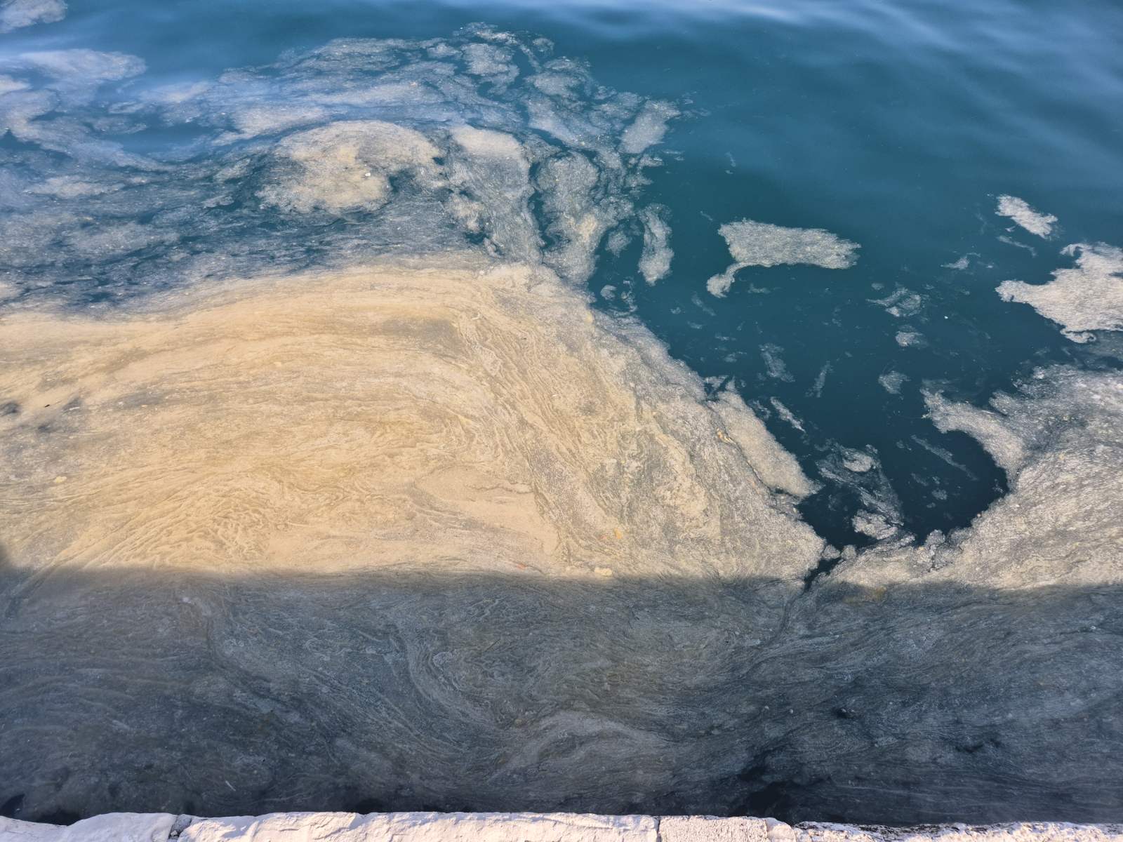 Što je pokrenulo veliki događaj morske sluzi u Jadranu