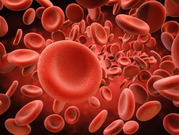 Umjetne crvene krvne stanice su bolje od pravih