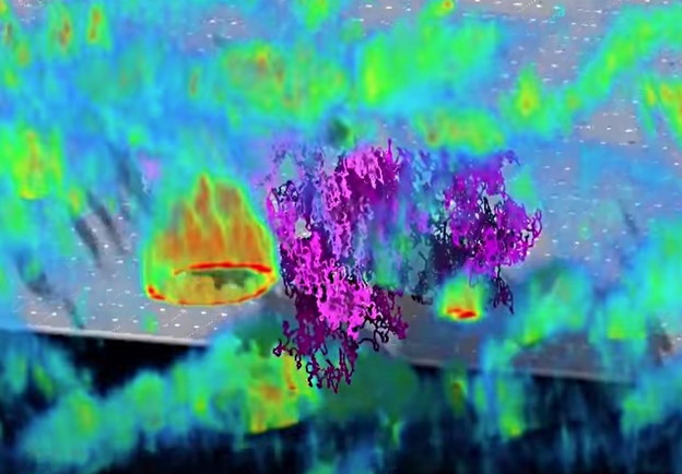 VIDEO: 3D mikroskop prati virus u stvarnom vremenu