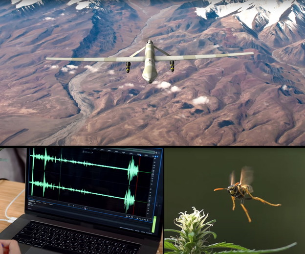 VIDEO: Detekcija bespilotnih letjelica mozgom insekta VIDEO: Detekcija bespilotnih letjelica mozgom insekta