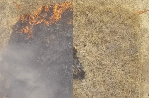 VIDEO: Gel koji sprječava razbuktavanje požara VIDEO: Gel koji sprječava razbuktavanje požara