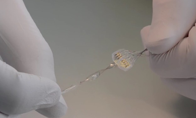 VIDEO: Implantat koji omogućuje hodanje paraliziranom mišu VIDEO: Implantat koji omogućuje hodanje paraliziranom mišu