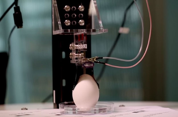 VIDEO: Mekani robotski prsti hvataju jaja